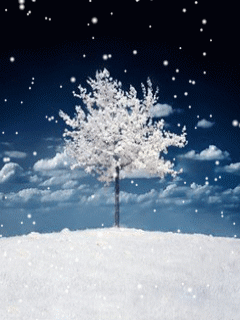 zima4_180.gif